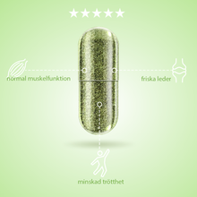 Ladda upp bild till gallerivisning, Fibromine® bidrar till en hälsosam funktion av muskler och leder
